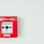 Evakuasi Ular di Pinggir Sungai