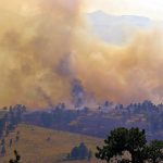 Dinas Damkar Tanjungpinang Gelar Rescue di Pasar